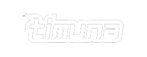 LOGO INDOKING62